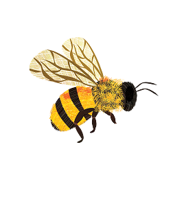 Bee